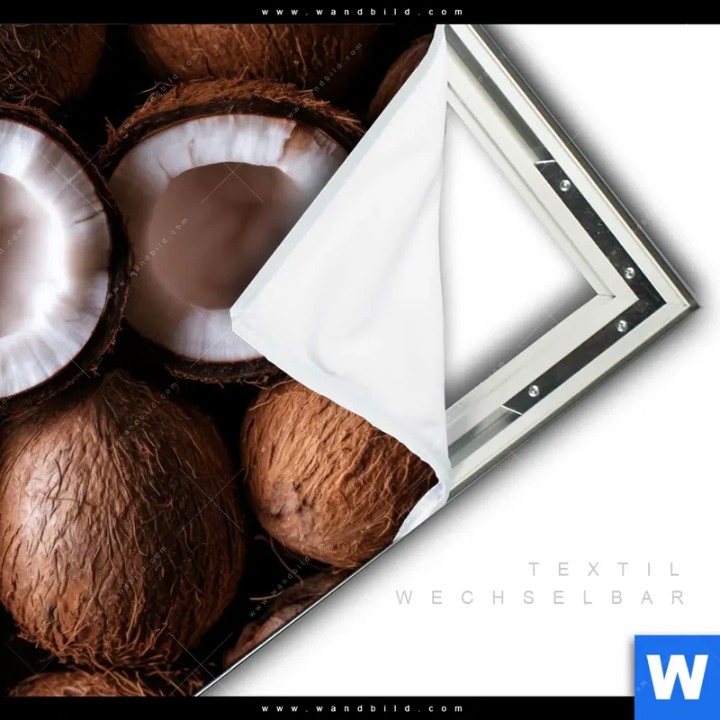 Spannbild | Tropische Kokosnüsse – Exotischer Genuss | Quadrat