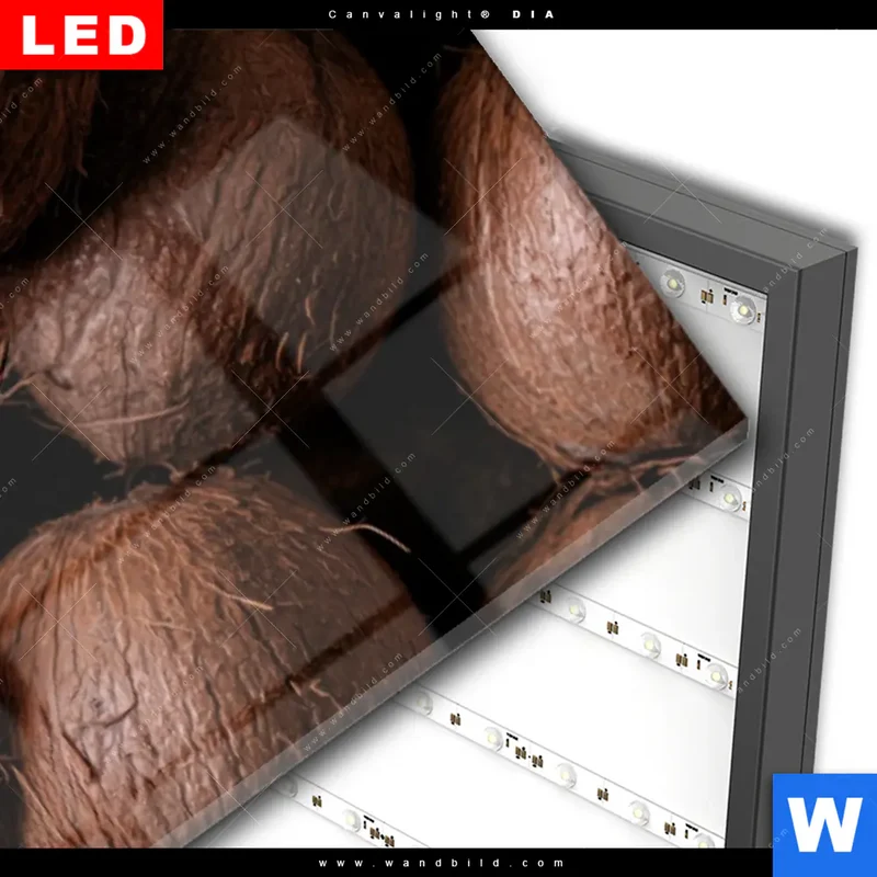 Wechselmotiv Acrylglas Canvalight® DIA | Tropische Kokosnüsse – Exotischer Genuss | Panorama