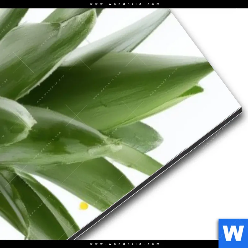 Alu-Dibond Bild | Tropische Frische - Ananas-Explosion | Schmal