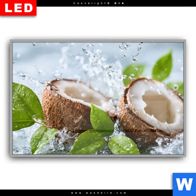 Leuchtbild Acrylglas Canvalight® DIA | Frische Kokosnuss im Wassersplash | Querformat