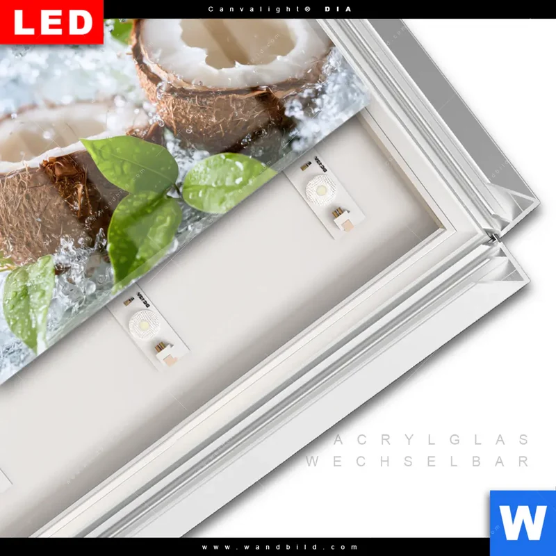 Leuchtbild Acrylglas Canvalight® DIA | Frische Kokosnuss im Wassersplash | Querformat