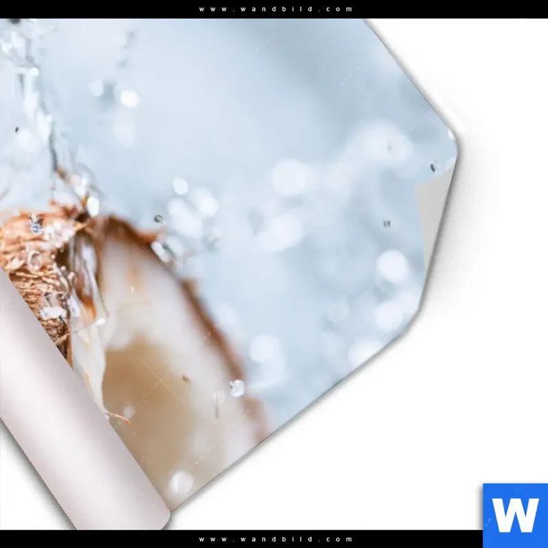 Poster | Frische Kokosnuss im Wassersplash | Hochformat