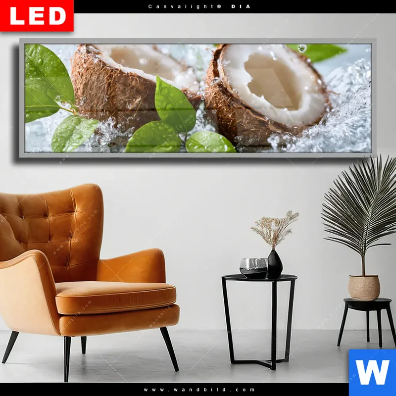 Wechselmotiv Acrylglas Canvalight® DIA | Frische Kokosnuss im Wassersplash | Panorama