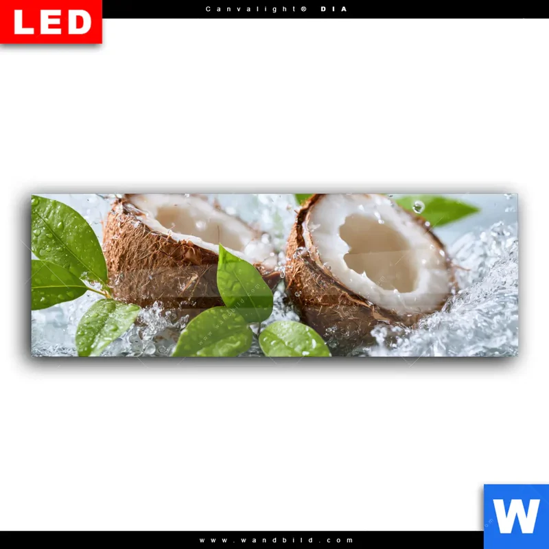 Wechselmotiv Acrylglas Canvalight® DIA | Frische Kokosnuss im Wassersplash | Panorama