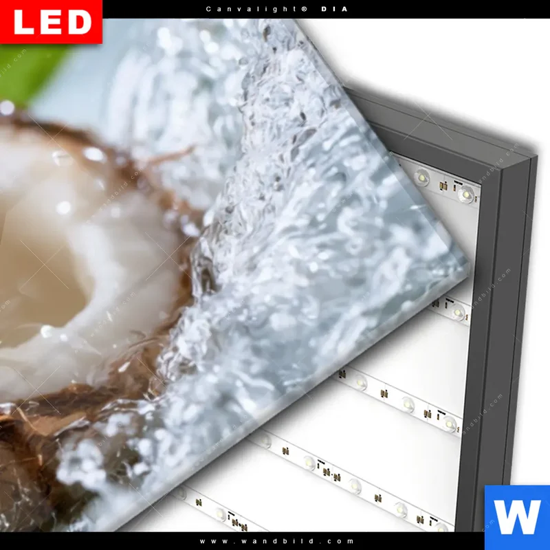 Wechselmotiv Acrylglas Canvalight® DIA | Frische Kokosnuss im Wassersplash | Panorama