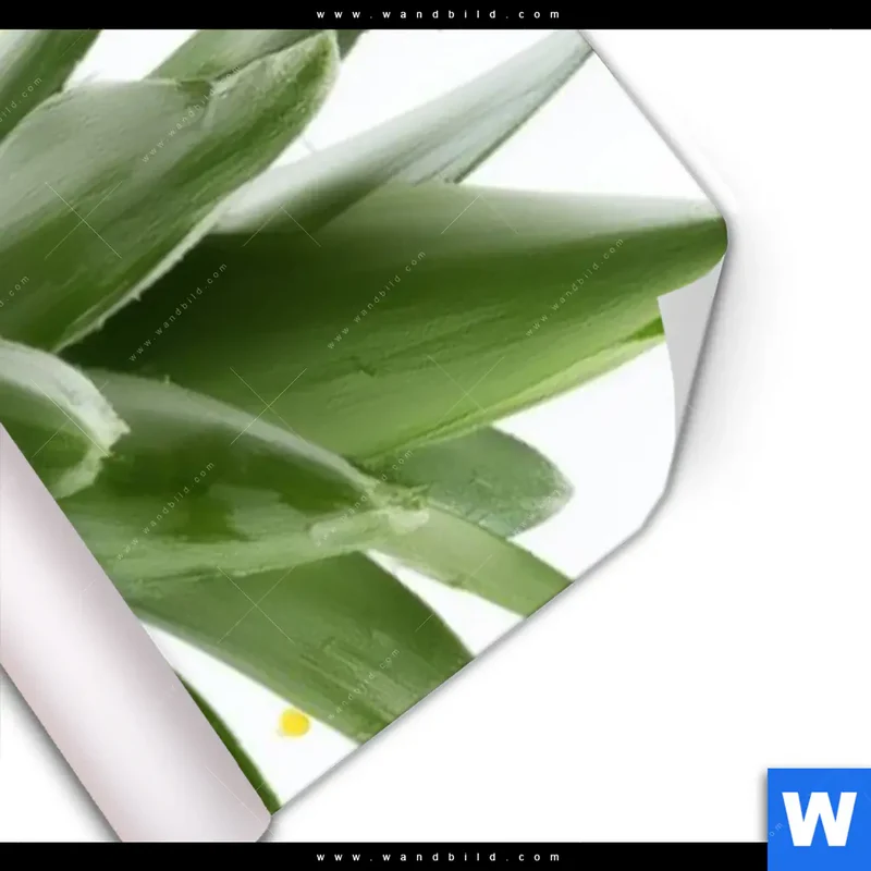 Poster | Tropische Frische - Ananas-Explosion | Schmal