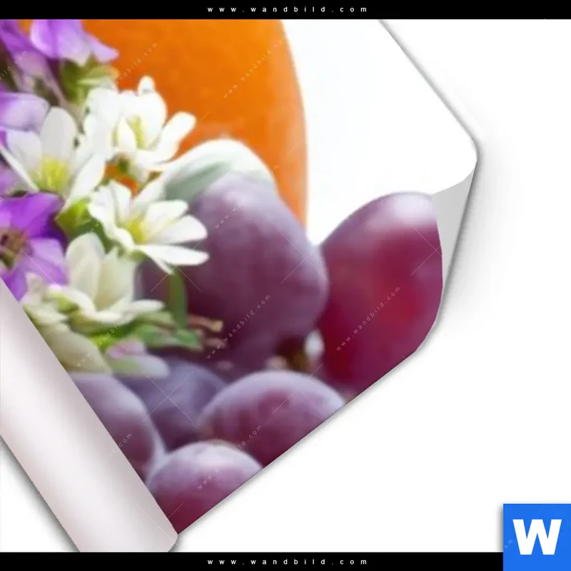Poster | Exotische Früchte und Beeren | Schmal