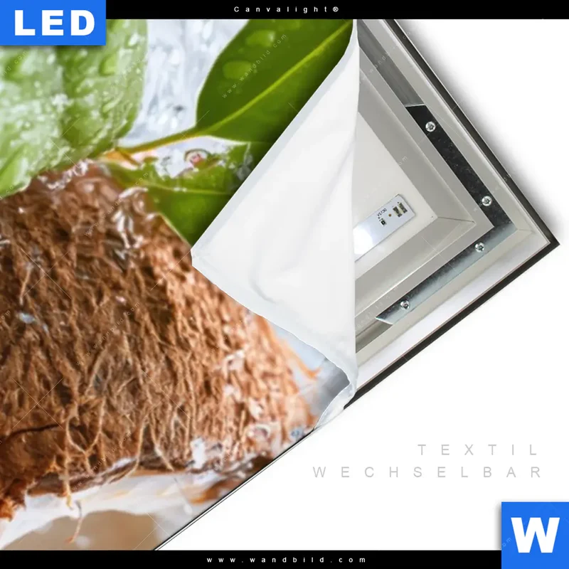 Canvalight® Leuchtbild | Frische Kokosnuss im Wassersplash | Schmal