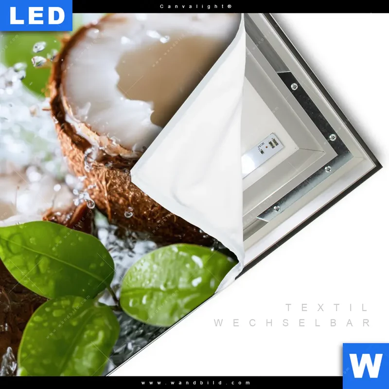 Canvalight® Leuchtbild | Frische Kokosnuss im Wassersplash | Querformat
