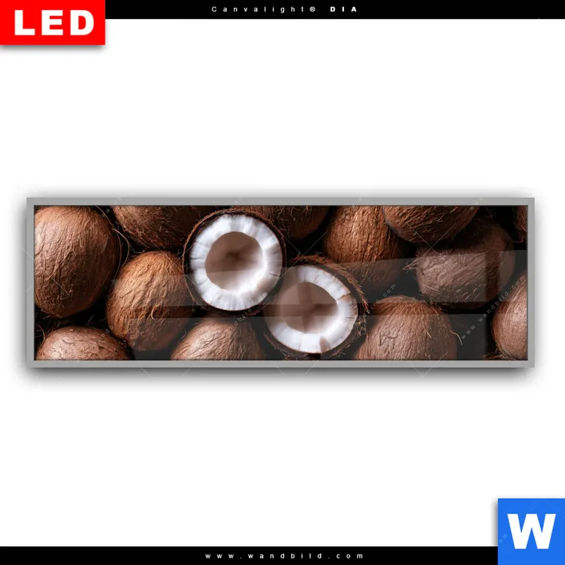 Leuchtbild Acrylglas Canvalight® DIA | Tropische Kokosnüsse – Exotischer Genuss | Panorama