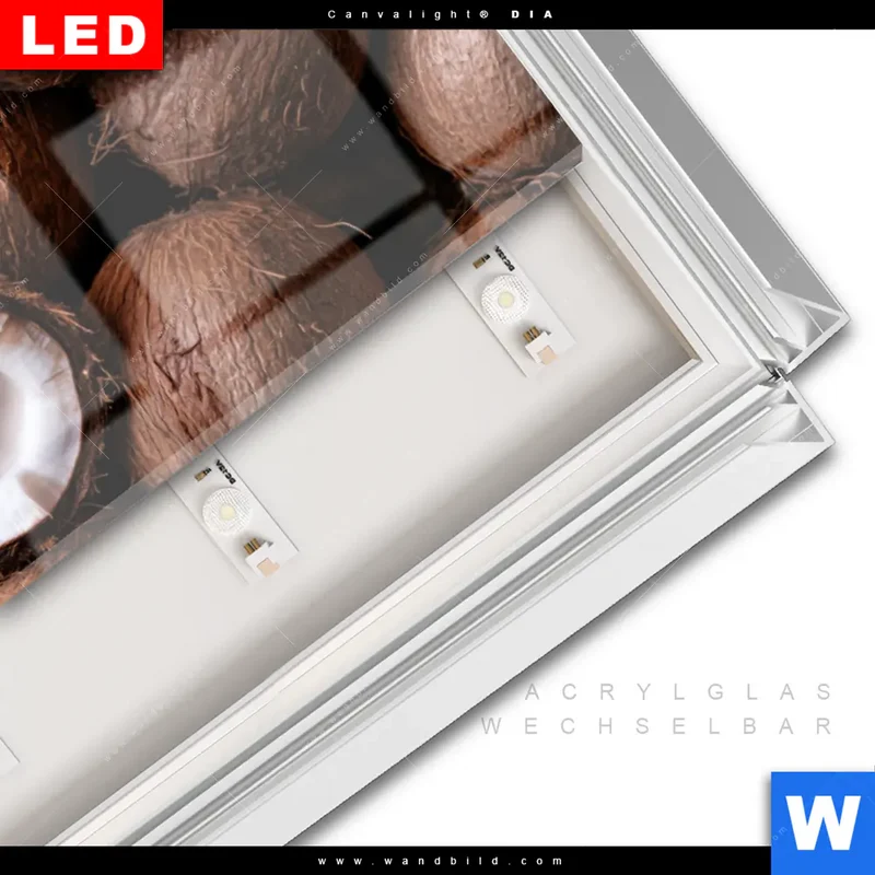 Leuchtbild Acrylglas Canvalight® DIA | Tropische Kokosnüsse – Exotischer Genuss | Panorama