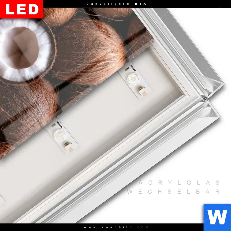 Leuchtbild Acrylglas Canvalight® DIA | Tropische Kokosnüsse – Exotischer Genuss | Hochformat