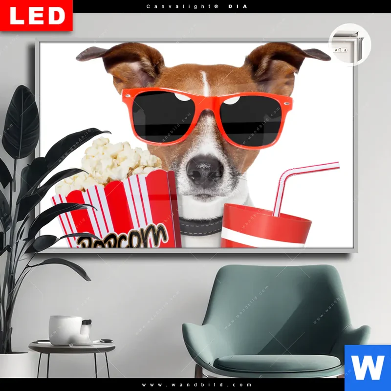 Leuchtbild Acrylglas Canvalight® DIA | Kinoabend mit Terrier | Querformat