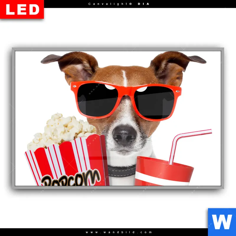 Leuchtbild Acrylglas Canvalight® DIA | Kinoabend mit Terrier | Querformat