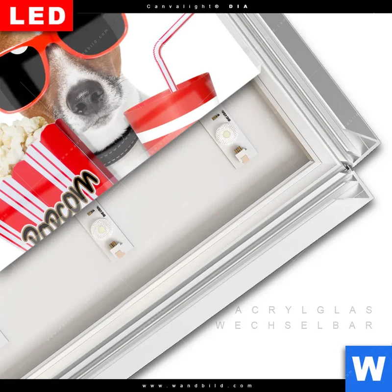 Leuchtbild Acrylglas Canvalight® DIA | Kinoabend mit Terrier | Querformat