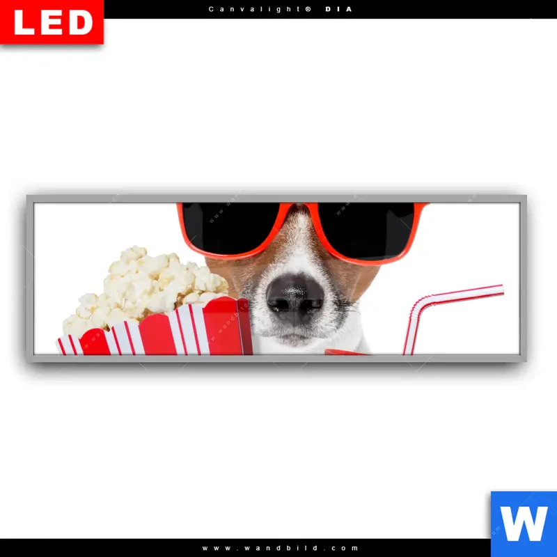 Leuchtbild Acrylglas Canvalight® DIA | Kinoabend mit Terrier | Panorama