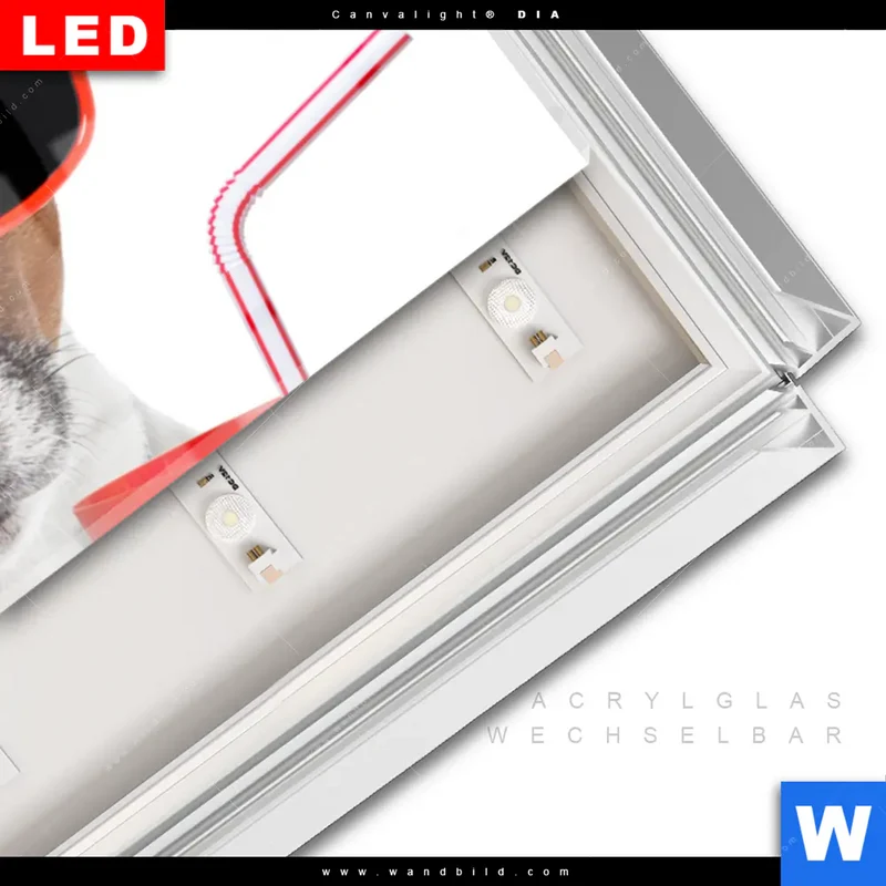 Leuchtbild Acrylglas Canvalight® DIA | Kinoabend mit Terrier | Panorama