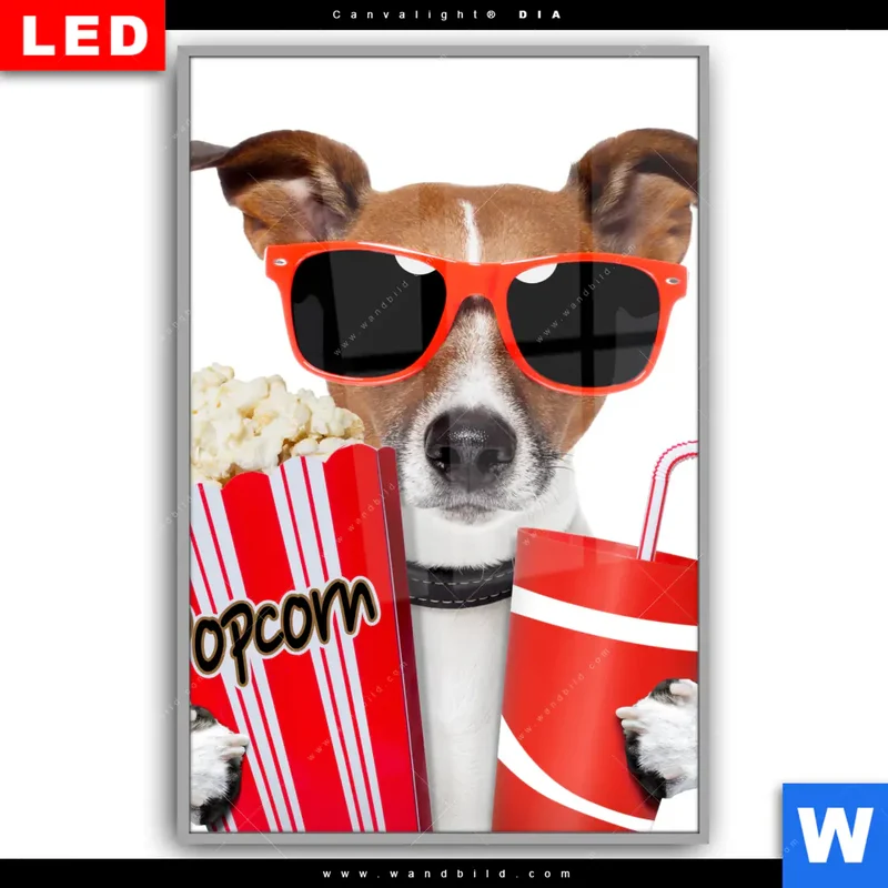 Leuchtbild Acrylglas Canvalight® DIA | Kinoabend mit Terrier | Hochformat