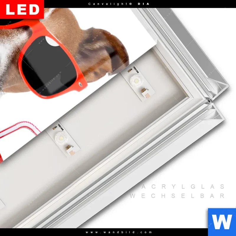 Leuchtbild Acrylglas Canvalight® DIA | Kinoabend mit Terrier | Hochformat