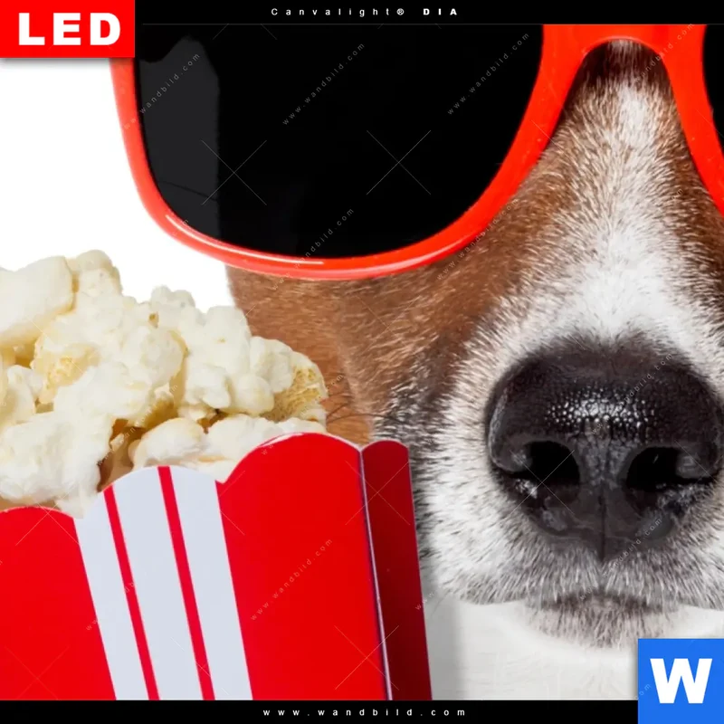 Leuchtbild Acrylglas Canvalight® DIA | Kinoabend mit Terrier | Hochformat