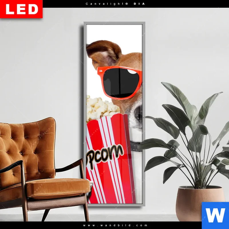 Wechselmotiv Acrylglas Canvalight® DIA | Kinoabend mit Terrier | Schmal
