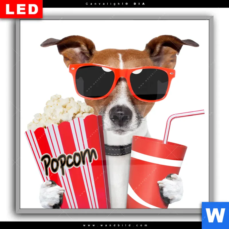 Leuchtbild Acrylglas Canvalight® DIA | Kinoabend mit Terrier | Quadrat