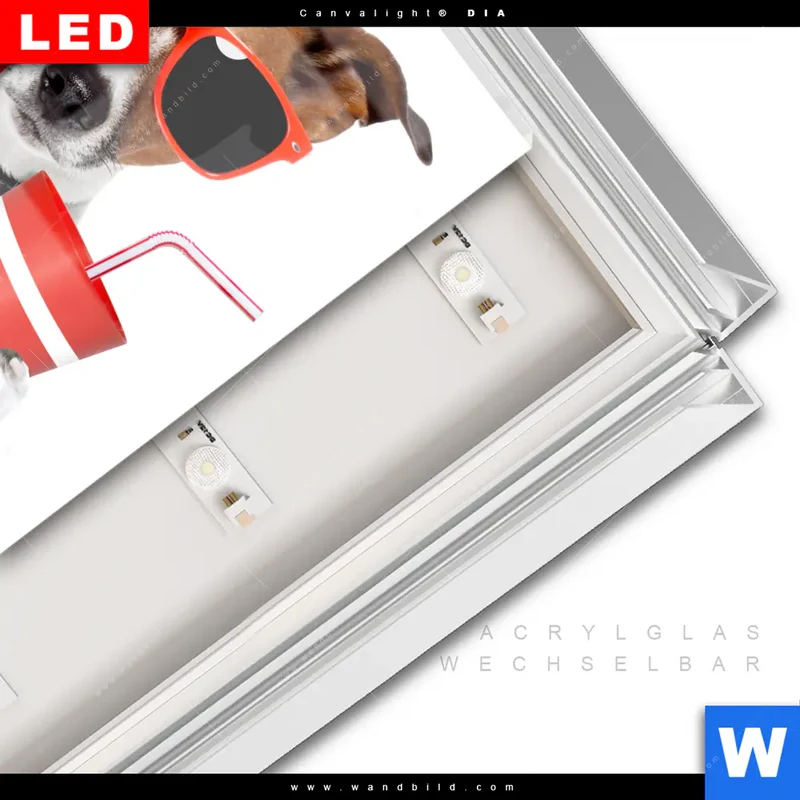 Leuchtbild Acrylglas Canvalight® DIA | Kinoabend mit Terrier | Quadrat