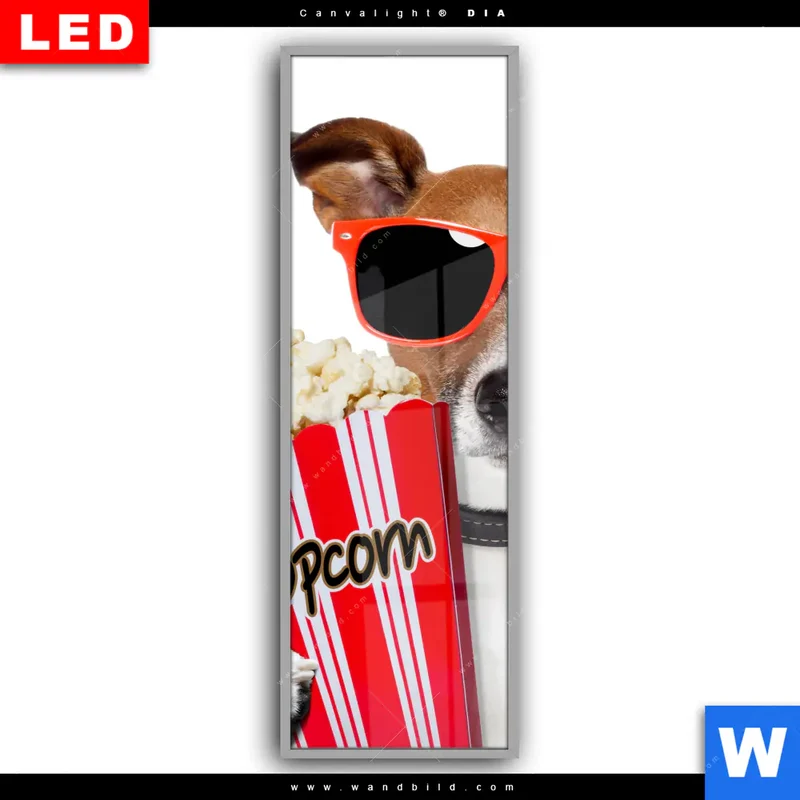 Leuchtbild Acrylglas Canvalight® DIA | Kinoabend mit Terrier | Schmal
