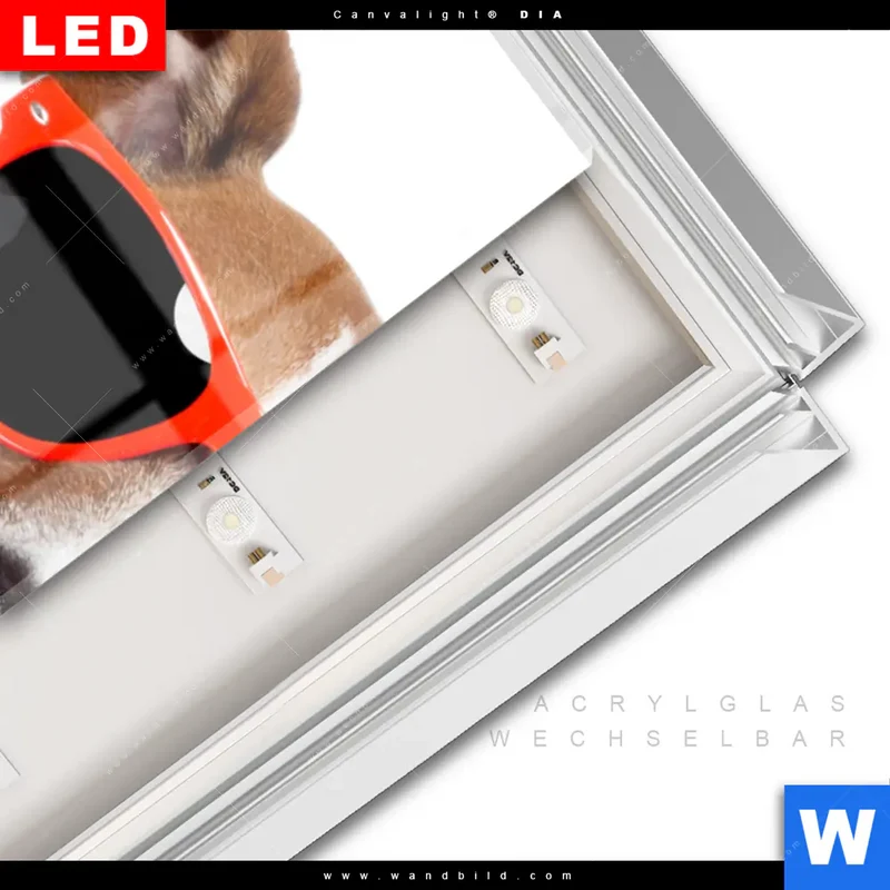 Leuchtbild Acrylglas Canvalight® DIA | Kinoabend mit Terrier | Schmal