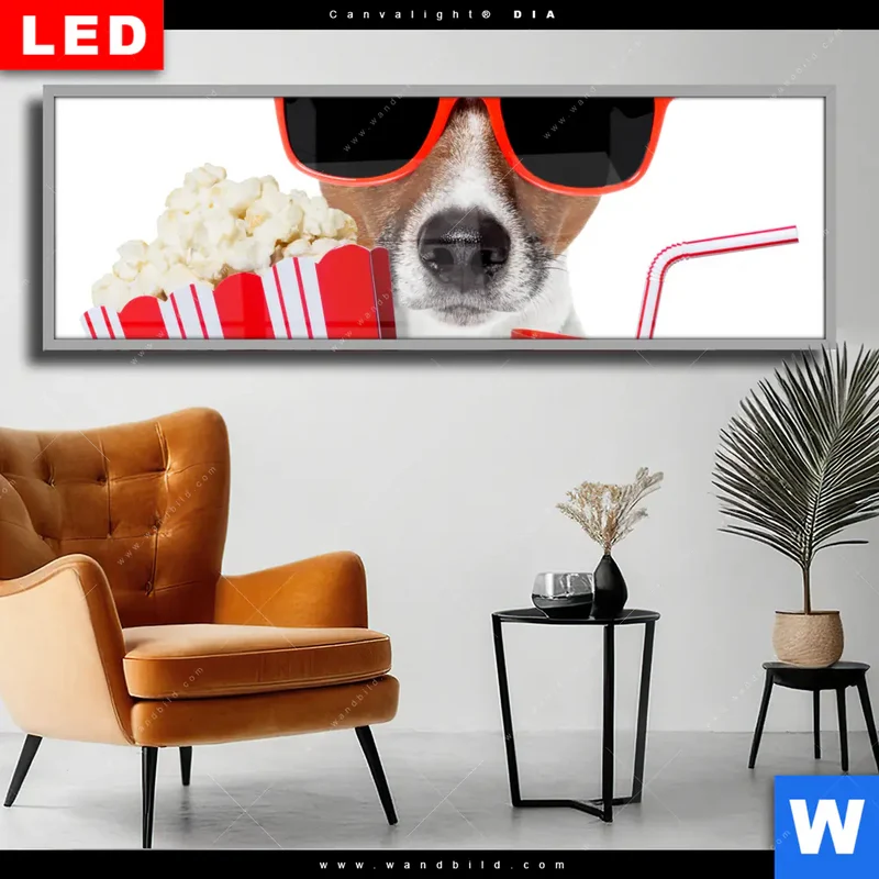 Wechselmotiv Acrylglas Canvalight® DIA | Kinoabend mit Terrier | Panorama