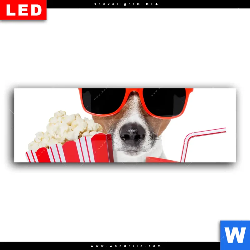 Wechselmotiv Acrylglas Canvalight® DIA | Kinoabend mit Terrier | Panorama