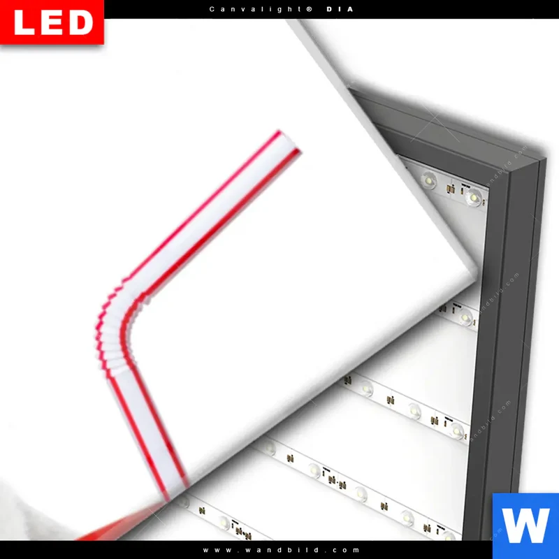 Wechselmotiv Acrylglas Canvalight® DIA | Kinoabend mit Terrier | Panorama