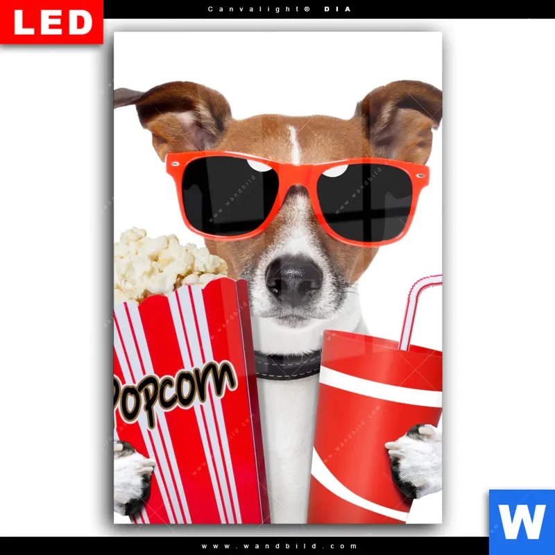 Wechselmotiv Acrylglas Canvalight® DIA | Kinoabend mit Terrier | Hochformat