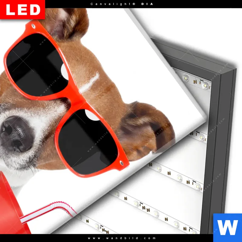 Wechselmotiv Acrylglas Canvalight® DIA | Kinoabend mit Terrier | Hochformat