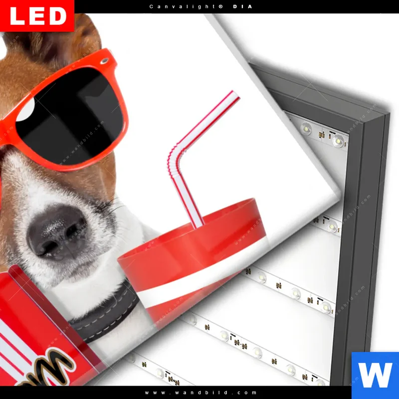 Wechselmotiv Acrylglas Canvalight® DIA | Kinoabend mit Terrier | Querformat