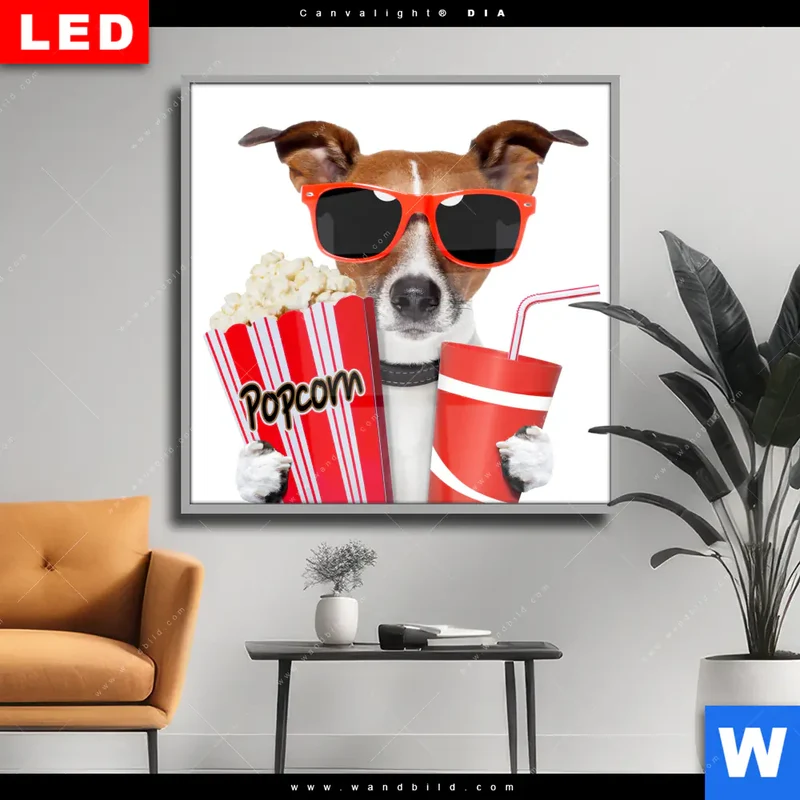 Wechselmotiv Acrylglas Canvalight® DIA | Kinoabend mit Terrier | Quadrat