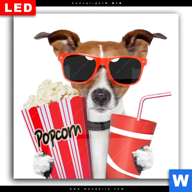 Wechselmotiv Acrylglas Canvalight® DIA | Kinoabend mit Terrier | Quadrat