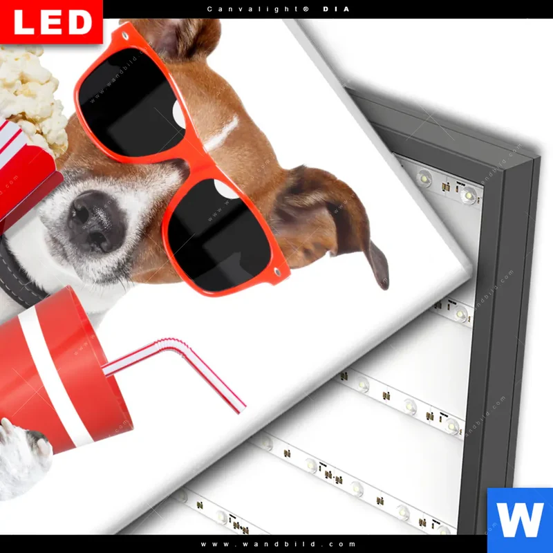 Wechselmotiv Acrylglas Canvalight® DIA | Kinoabend mit Terrier | Quadrat