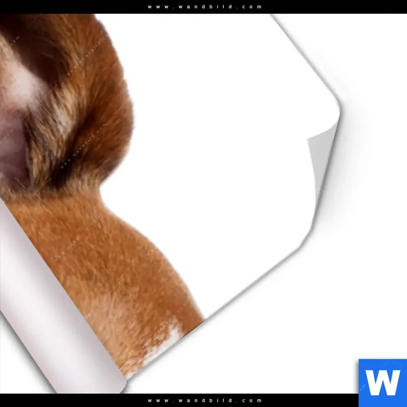 Poster | Kinoabend mit Terrier | Schmal