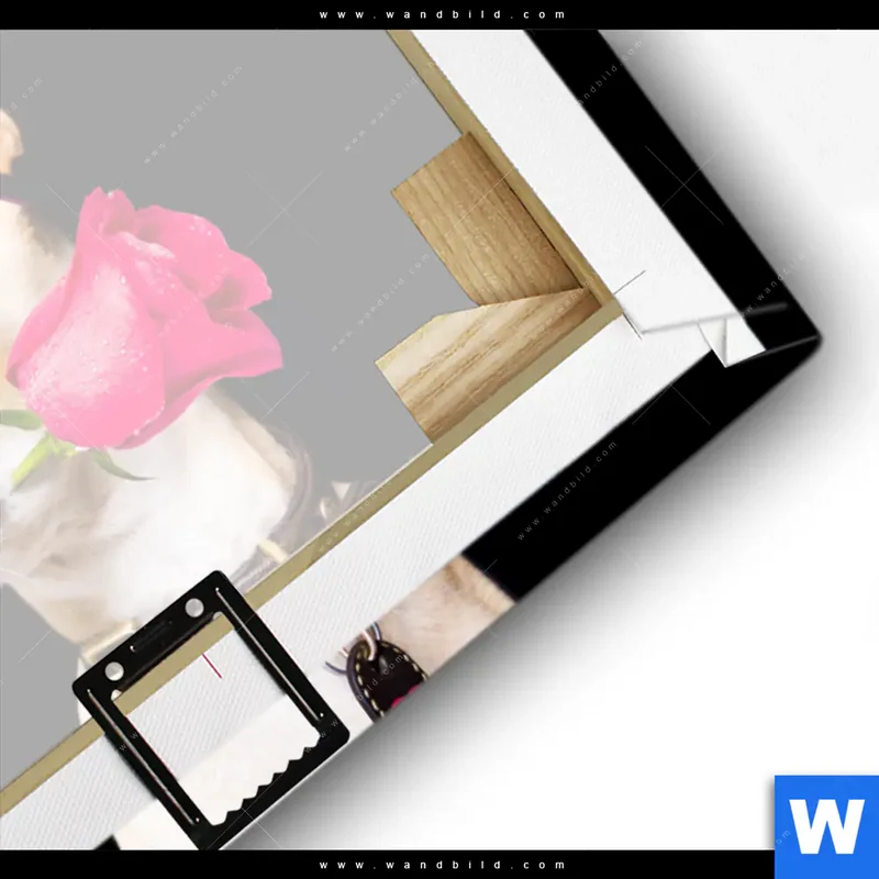 Leinwandbild | Cooler Hund mit roter Rose | Querformat