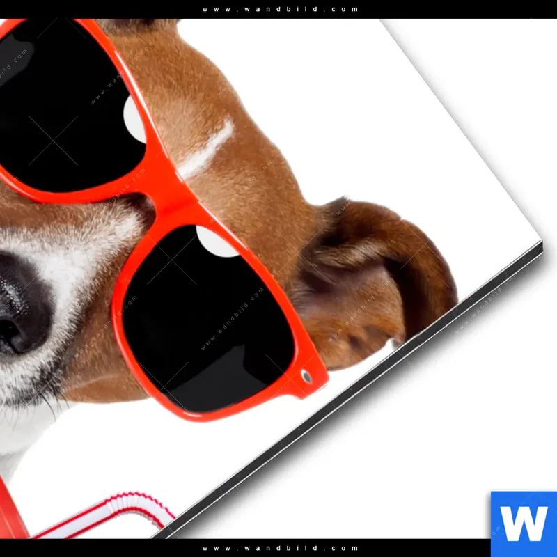 Alu-Dibond Bild | Kinoabend mit Terrier | Hochformat