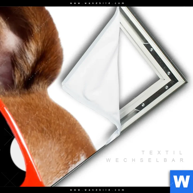 Spannbild | Kinoabend mit Terrier | Schmal