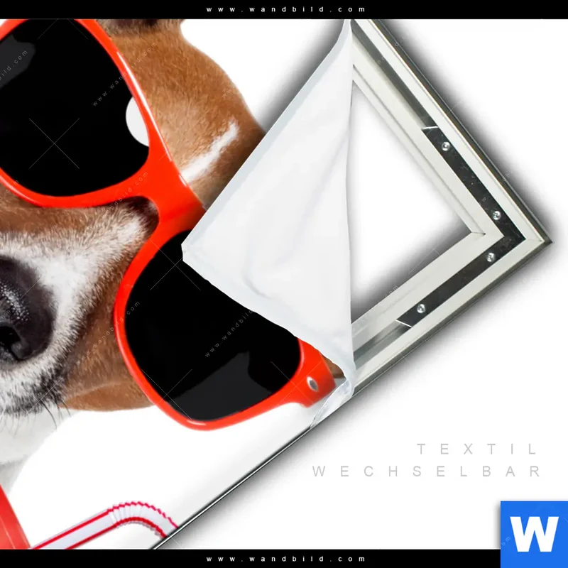 Spannbild | Kinoabend mit Terrier | Hochformat
