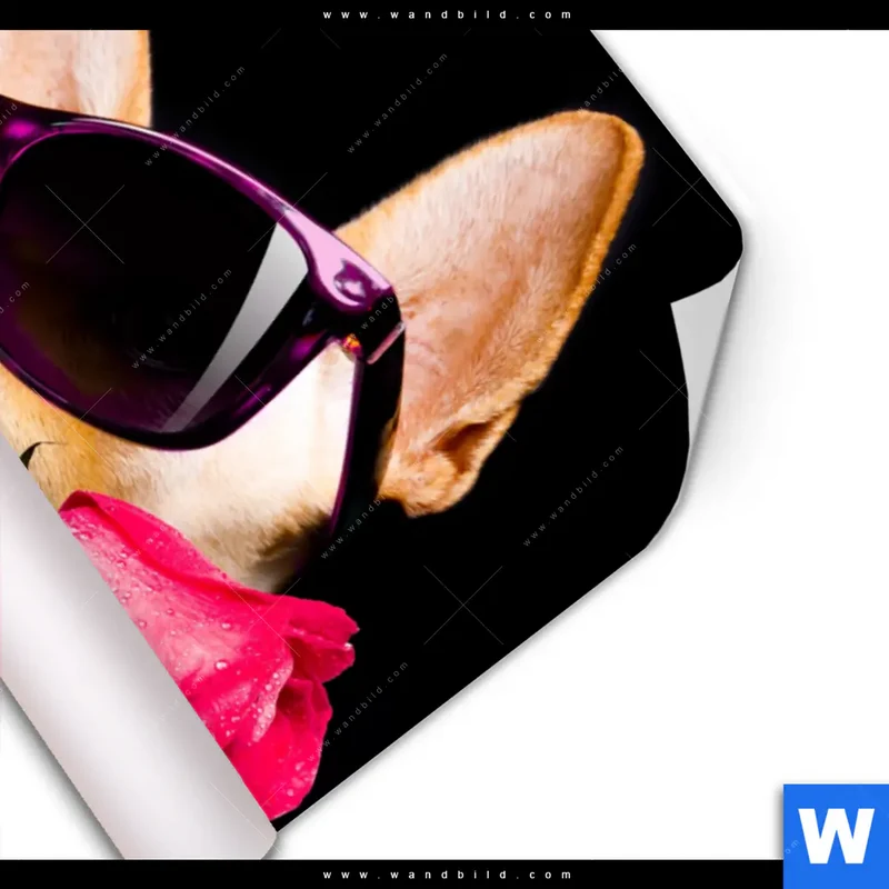 Poster | Cooler Hund mit roter Rose | Hochformat