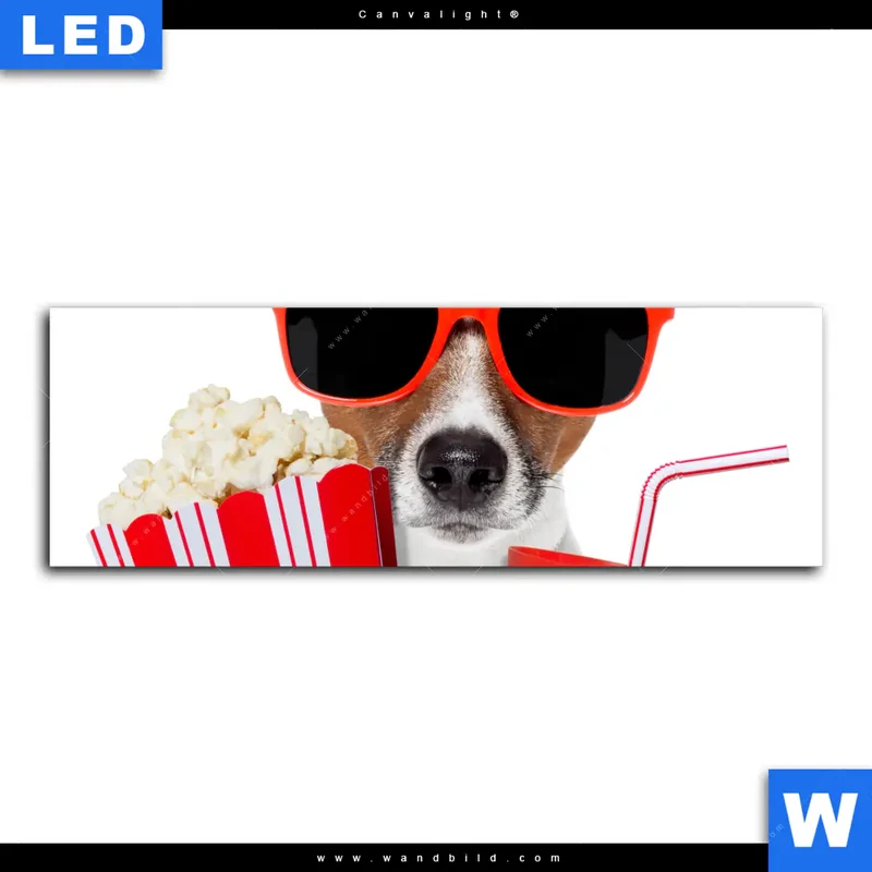 Canvalight® Leuchtbild | Kinoabend mit Terrier | Panorama