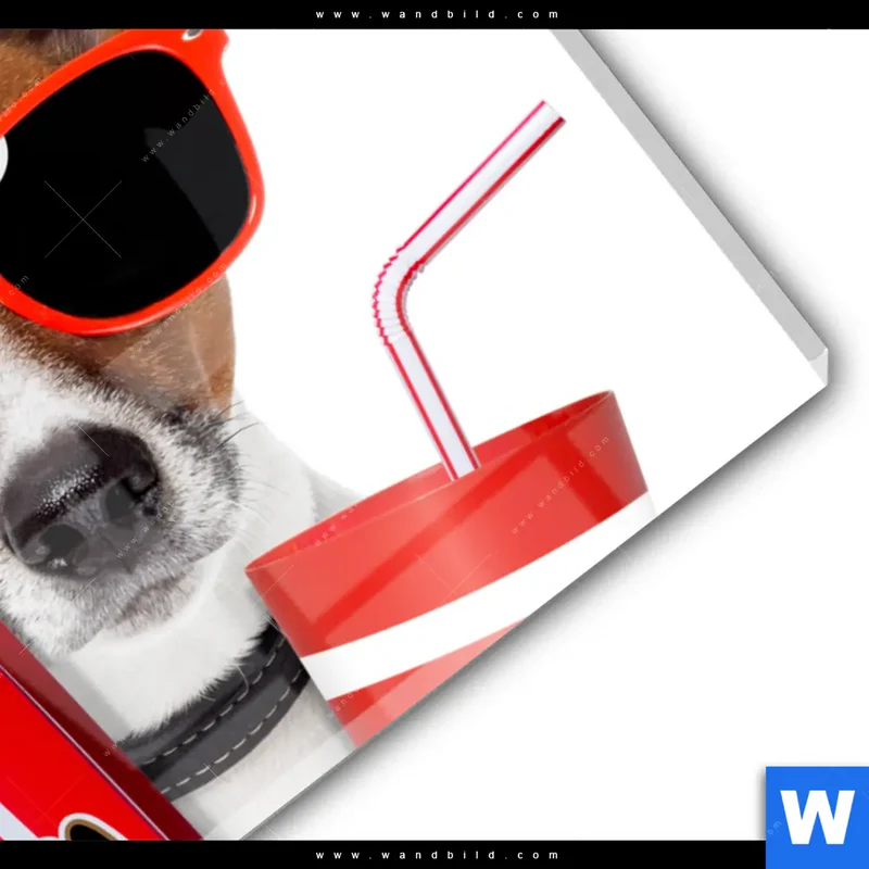 Acrylglasbild | Kinoabend mit Terrier | Querformat