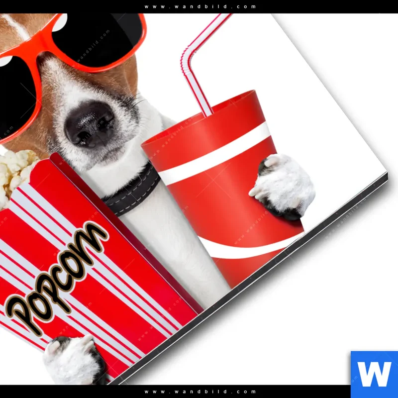 Alu-Dibond Bild | Kinoabend mit Terrier | Rund
