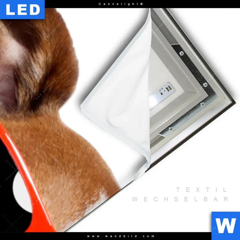 Canvalight® Leuchtbild | Kinoabend mit Terrier | Schmal