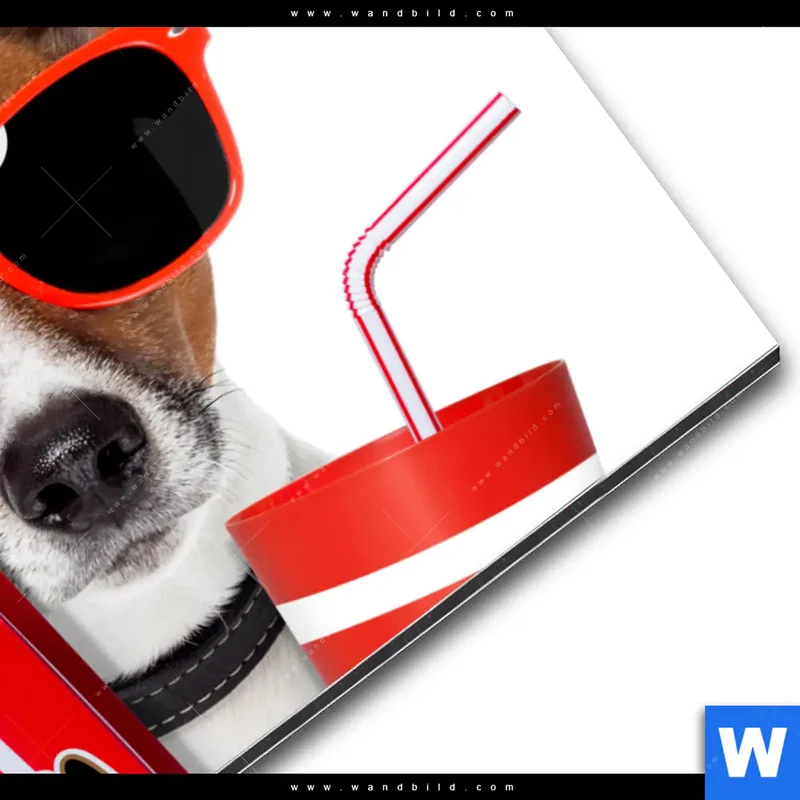 Alu-Dibond Bild | Kinoabend mit Terrier | Querformat