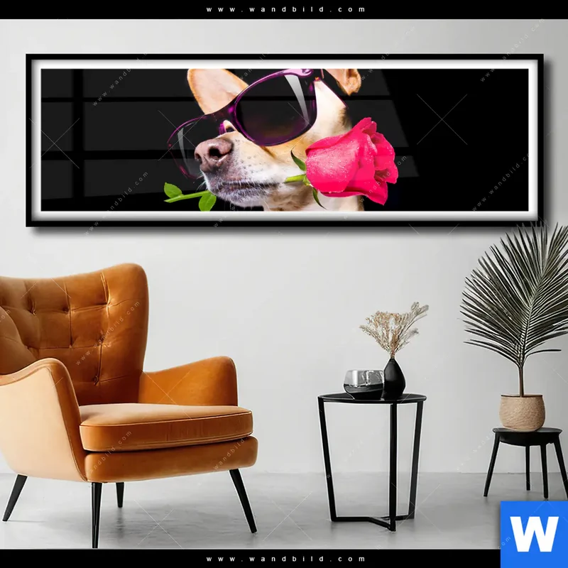 Poster | Cooler Hund mit roter Rose | Panorama